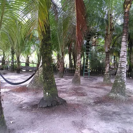 Gran Kahuna Beach Hostel-2